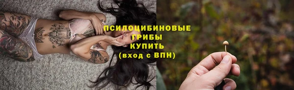 мяу мяу мука Арсеньев
