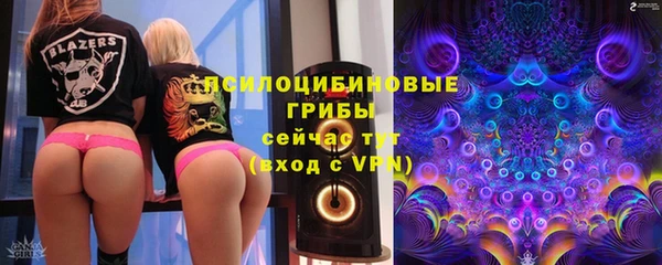 мяу мяу мука Арсеньев