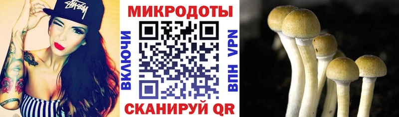 закладки  Мегион  Галлюциногенные грибы Cubensis 